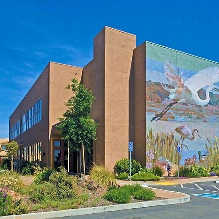 Doubletree By Hilton Napa Valley - Американ-Каньон Экстерьер фото